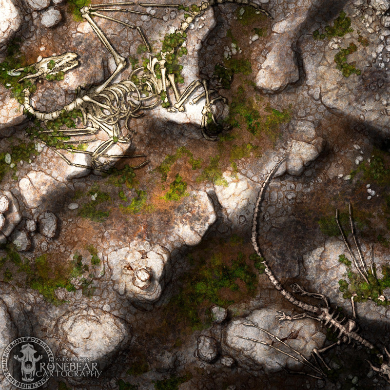 Dragonfall 22x22 Battlemap by Runebear Cartography