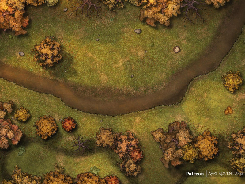 Seasonal Forest Road