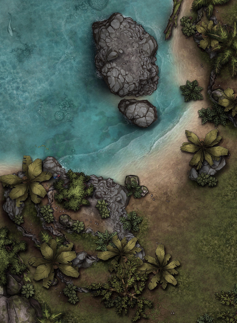 Rocky tropical coast [22x30]