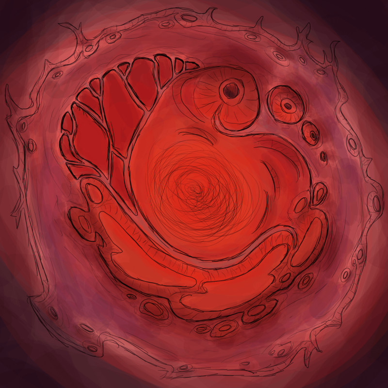 Map of Barnovar, a tidally locked planet.