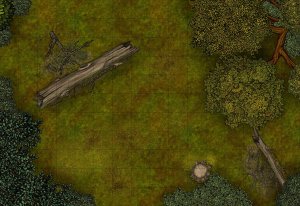 First follow-up quests from Dragon of Icespire Peak adventure
