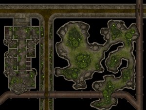Sewer With Mushrooms [33x25] 150px