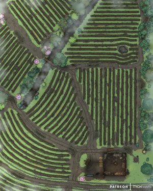 Farms of Undercliff - Waterdeep [40x50]