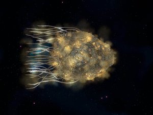 Infected Asteroid/Ship (3 versions)