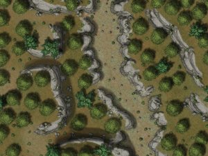 Forest Map 40x30