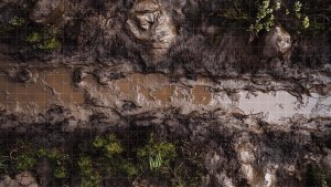 muddy riverbed