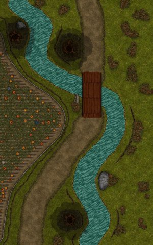 Field Road 25x40 128ppi