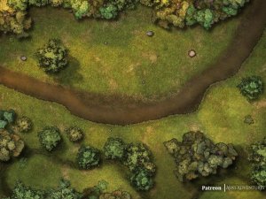 Seasonal Forest Road