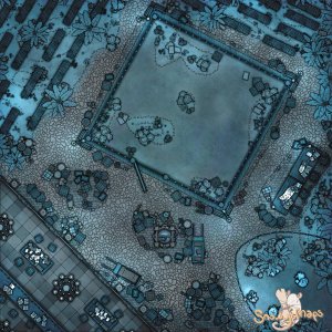 [30x30] City Fighting Ring Fey