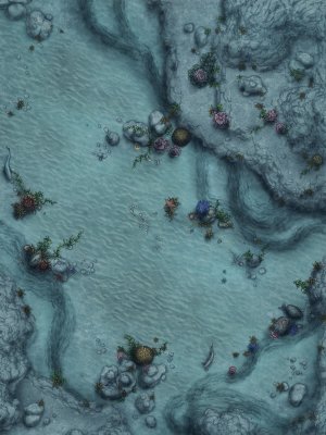 Tropical Reef [30x40] - 6 unique variations