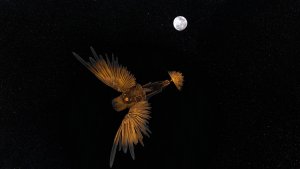 Corbina - Spelljammer [30x33]