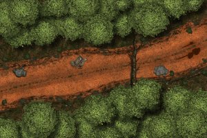 Forest Ambush [30 x 20] (First Map Attempt)