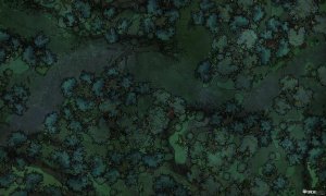Swamp Road [50x30]