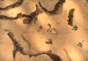 Desert [50x35]