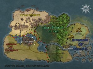 How should the lay out be?