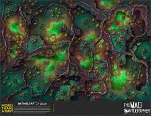 [30x20] More Than a Map: Bramble Patch