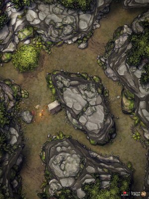 Lush Cavern - Camp - 27x26