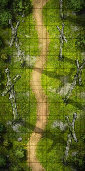 Trail of Forgotten Giants 20х40