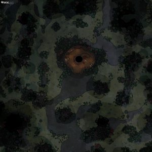 Squirrel Hideout [40x40]