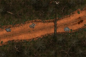Forest Ambush [30 x 20] (First Map Attempt)
