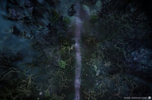 Dark Woods | [Animated Battlemap] [39x25] [100px per Square] [Gridless] [3D Rendered] [OC] | Beneos Battlemaps
