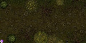 Fantasy Road Maps