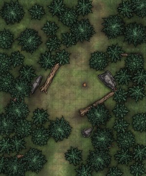 Camp in a cedar forest