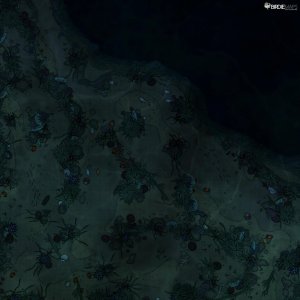 Coral Reef [30x30]