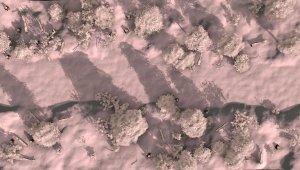 Reign of Winter Book 1 Part 3 - Land of the White Witches