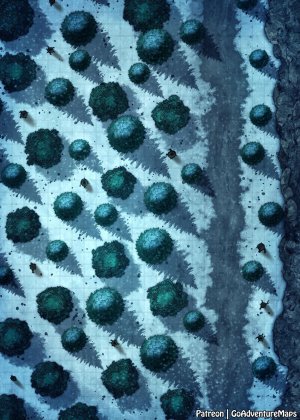 Snowy Forest Passage [25x35]