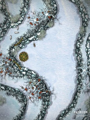 Winter [battlemap] from Angela Maps - 6 versions! [animated] [art]