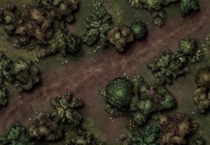 Forest Dirt Road  [26x18]