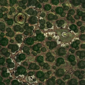Neverwinter Wood | Square 1 [160 x 160]