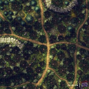 Deep woods