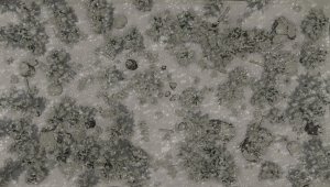 Reign of Winter Part Two: The Dvezda Marches