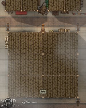 Abandoned house - [20x16]