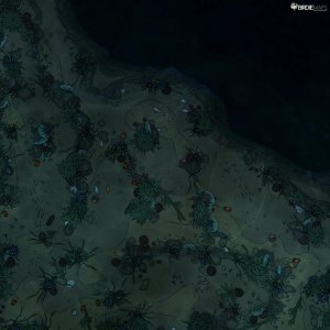 Coral Reef [30x30]