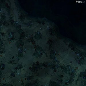 Coral Reef [30x30]