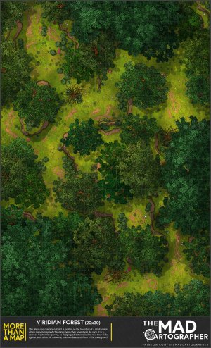 [20x30] More Than a Map: Viridian Forest