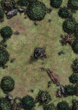Plain Grasslands  [25x35] - 9 unique variations