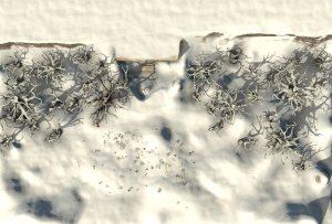Reign of Winter Part Three: The Three Who Watch