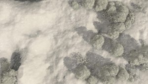 Book 2 Part 1 - Journey To Whitethrone