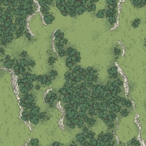 [50x50] Forest Ridge