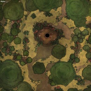 Squirrel Hideout [40x40]