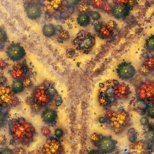 [OC] Which Fork in the Road will your players choose? [25x25]