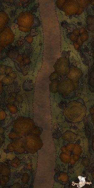 [20x40] Autumnal Forest Path Night