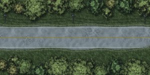 Zombie Apocalypse - Back Roads of Georgia