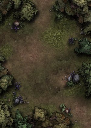 Open Clearing [20x28] - Summer, Autumn, Tropical, Winter, Eastern, Desert