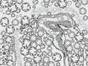 Rnadom Encounter Maps - Idea