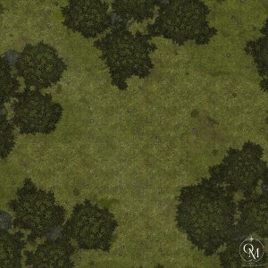 Forest [20x20]